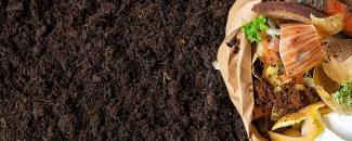 international-day-of-awareness-on-food-loss-and-waste-reduction-image