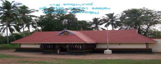 pacha-nedumparambu-sree-darma-sastha-temple-thrikkodiyeri-deshiya-maholsavam-image