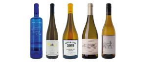 albarino-day-image