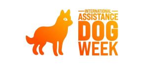 international-assistance-dog-image