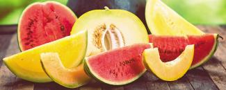 melon-day-image