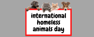 international-homeless-animals-day-image