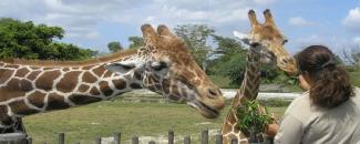 national-zoo-awareness-day-image